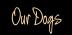 Our Dogs
